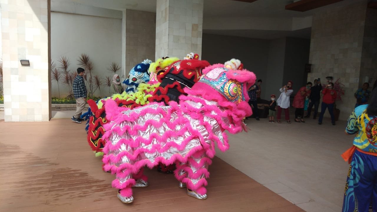 WhatsApp Image 2023-02-04 at 08.59.54